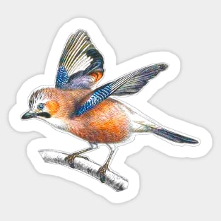 birdie Sticker